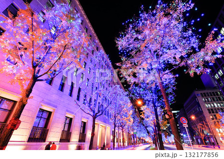 【大阪府】御堂筋イルミネーション 【大阪府】御堂筋イルミネーション 132177856