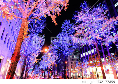 【大阪府】御堂筋イルミネーション 【大阪府】御堂筋イルミネーション 132177859