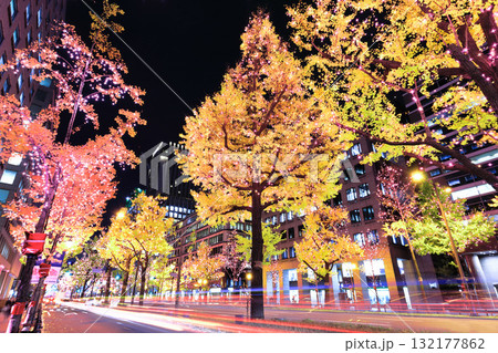 【大阪府】御堂筋イルミネーション 【大阪府】御堂筋イルミネーション 132177862