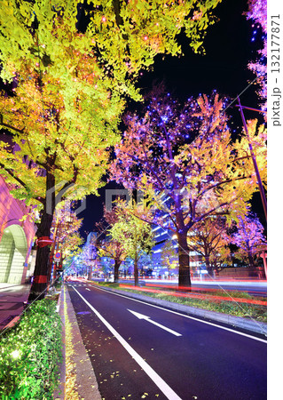 【大阪府】御堂筋イルミネーション 132177871