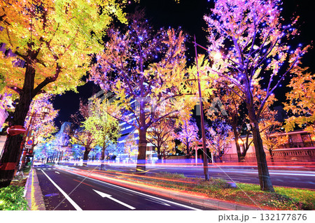 【大阪府】御堂筋イルミネーション 【大阪府】御堂筋イルミネーション 132177876