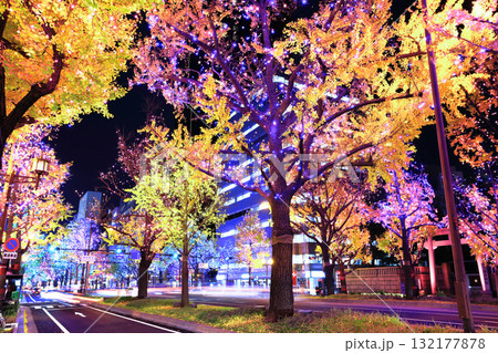 【大阪府】御堂筋イルミネーション 132177878