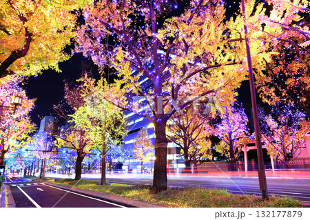 【大阪府】御堂筋イルミネーション 【大阪府】御堂筋イルミネーション 132177879