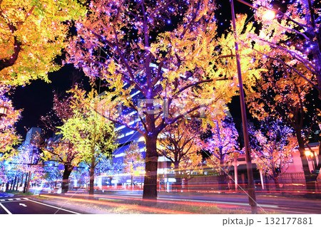 【大阪府】御堂筋イルミネーション 132177881