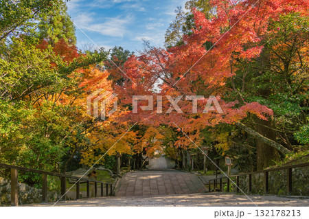 Arashiyama Kyoto Japan, Horinji walkway in autumn season 132178213