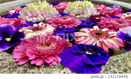 5月の花手水(ガーベラ・パンジー・サイネリア・菊)クローズアップ〈菅生神社/愛知県岡崎市〉 5月の花手水(ガーベラ・パンジー・サイネリア・菊)クローズアップ〈菅生神社/愛知県岡崎市〉 132178448