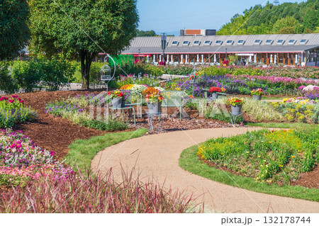ぎふワールド・ローズガーデン、秋の花壇〈岐阜県可児市〉 ぎふワールド・ローズガーデン、秋の花壇〈岐阜県可児市〉 132178744