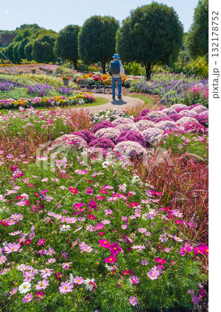ぎふワールド・ローズガーデン、秋の花壇〈岐阜県可児市〉 132178752