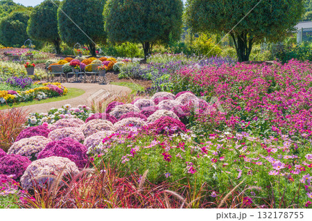 ぎふワールド・ローズガーデン、秋の花壇〈岐阜県可児市〉 ぎふワールド・ローズガーデン、秋の花壇〈岐阜県可児市〉 132178755