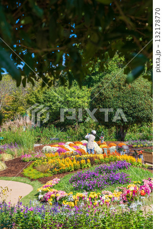 ぎふワールド・ローズガーデン、秋の花壇〈岐阜県可児市〉 132178770