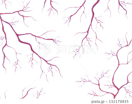毛細血管　イラスト素材 132178935