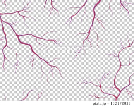 毛細血管　イラスト素材 132178935