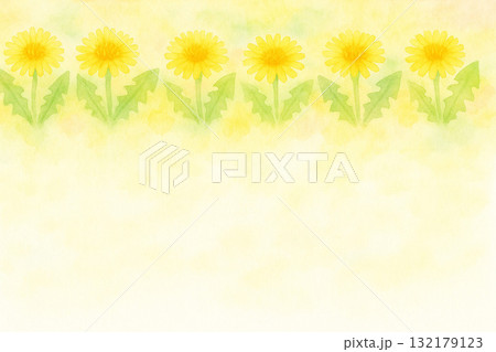 たんぽぽシリーズ：上部に帯状のたんぽぽが広がる春の背景 132179123