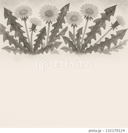 たんぽぽシリーズ：墨絵風たんぽぽが並ぶ和風トップ型背景 132179124