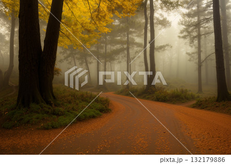 beautiful landscape of autumn forest at sunset, yellow trees and sunlight beautiful landscape of autumn forest at sunset, yellow trees and sunlight 132179886
