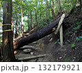 【山の標識】大阪府・岩湧山・岩湧山⇔滝畑（ダイヤモンドトレール）（2024年） 132179921