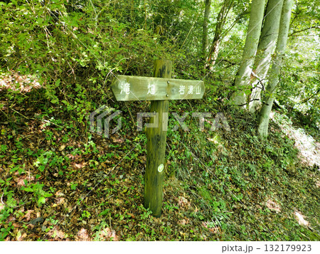 【山の標識】大阪府・岩湧山・岩湧山⇔滝畑（ダイヤモンドトレール）（2024年） 132179923