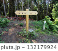 【山の標識】大阪府・岩湧山・岩湧山⇔滝畑（ダイヤモンドトレール）（2024年） 132179924