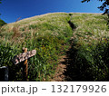 【山の標識】大阪府・岩湧山・岩湧山⇔滝畑（ダイヤモンドトレール）（2024年） 132179926