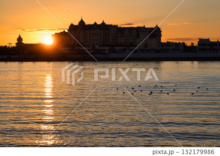 朝日に輝くディズニーランドホテル 132179986