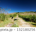 【山の風景】大阪府・岩湧山・山頂付近ススキの景色 132180256