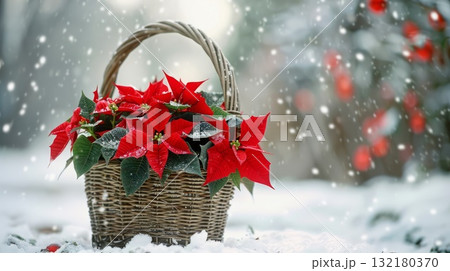 Basket with red poinsettia flowers on snowy nature. Space for text. Christmas background. 132180370