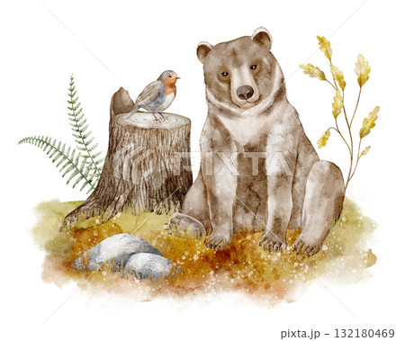Bear with stump watercolor illustration. Illustration of forest animal with bird and plants in autumn forest. Art of woodland creature for children greeting cards, baby invitations or nursery poster. Bear with stump watercolor illustration. Illustration of forest animal with bird and plants in autumn forest. Art of woodland creature for children greeting cards, baby invitations or nursery poster. 132180469