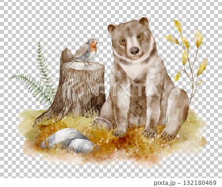 Bear with stump watercolor illustration. Illustration of forest animal with bird and plants in autumn forest. Art of woodland creature for children greeting cards, baby invitations or nursery poster. 132180469