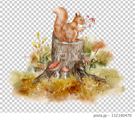 Watercolor illustration of Squirrel sitting on stump with mushrooms and foliage. Drawing of forest animal with fungus and fall leaves for nursery posters. Art for baby greeting cards or invitations. 132180470