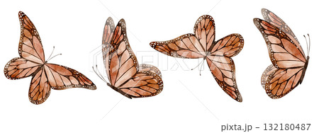 Watercolor border with Monarch Butterflies in flight. Seamless pattern with moth for wedding invitations or greeting cards. Illustration of Insects for frame templates on isolated background. Watercolor border with Monarch Butterflies in flight. Seamless pattern with moth for wedding invitations or greeting cards. Illustration of Insects for frame templates on isolated background. 132180487