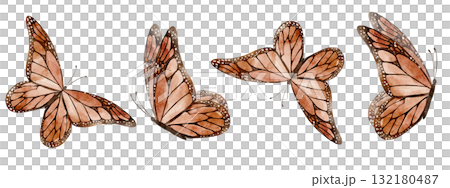 Watercolor border with Monarch Butterflies in flight. Seamless pattern with moth for wedding invitations or greeting cards. Illustration of Insects for frame templates on isolated background. Watercolor border with Monarch Butterflies in flight. Seamless pattern with moth for wedding invitations or greeting cards. Illustration of Insects for frame templates on isolated background. 132180487