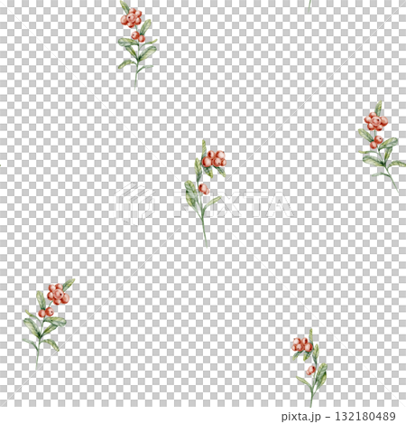 Seamless watercolor Berry pattern. Illustration of forest background with red fruits for fabric design or wrapping paper. Drawing of backdrop with cranberry for textile or wallpaper. Seamless watercolor Berry pattern. Illustration of forest background with red fruits for fabric design or wrapping paper. Drawing of backdrop with cranberry for textile or wallpaper. 132180489