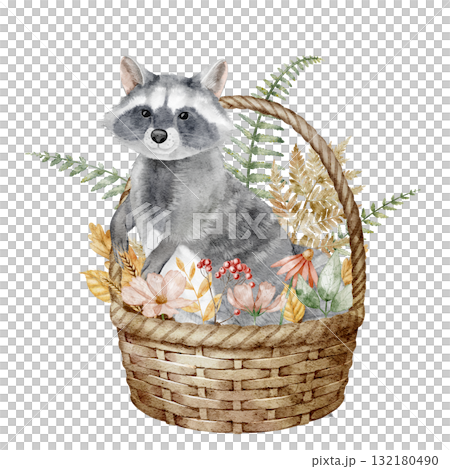 Watercolor Raccoon sitting in Basket with forest flowers, autumn plants and berry. Illustration of woodland animal for childish greeting cards or invitations. Drawing for nursery posters. 132180490