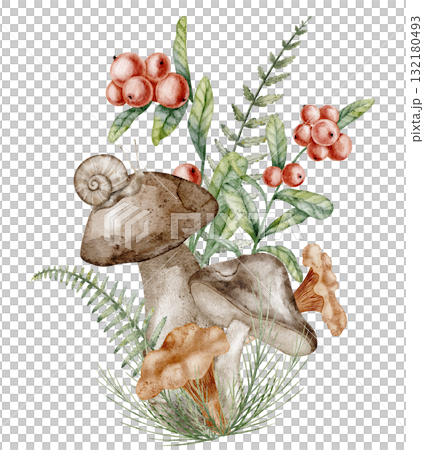 Watercolor illustration of forest mushrooms with foliage and berries. Drawing of Boletus and cranberry for autumn botanical designs. Art of isolated woodland Fungus with red berries and snail. 132180493