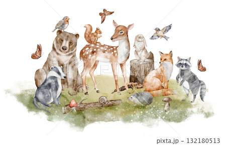Watercolor illustration of Woodland Animals including bear, fox, raccoon, hare, badger, squirrel, hedgehog, and birds. Drawing of autumn forest design for poster, baby shower invitations and greetings 132180513