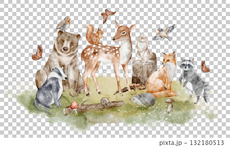 Watercolor illustration of Woodland Animals including bear, fox, raccoon, hare, badger, squirrel, hedgehog, and birds. Drawing of autumn forest design for poster, baby shower invitations and greetings 132180513