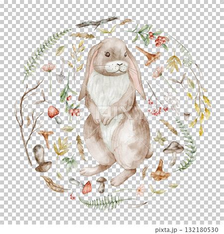 Hare watercolor illustration surrounded by woodland elements including mushrooms, leaves, and berries. Drawing of Rabbit with autumn plants for nursery poster or childish greeting cards and invites. Hare watercolor illustration surrounded by woodland elements including mushrooms, leaves, and berries. Drawing of Rabbit with autumn plants for nursery poster or childish greeting cards and invites. 132180530
