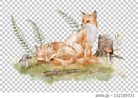 Watercolor illustration of Foxes in autumn forest setting with stump, mushrooms and foliage. Drawing of Woodland animals for children greeting cards and invitations. Art for nursery posters. Watercolor illustration of Foxes in autumn forest setting with stump, mushrooms and foliage. Drawing of Woodland animals for children greeting cards and invitations. Art for nursery posters. 132180531