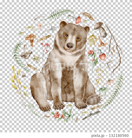Brown Bear surrounded by forest elements Watercolor illustration. Drawing of forest animal with mushrooms, leaves, and berries in circle for Baby invitations or childish woodland greeting cards. 132180560