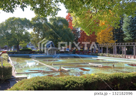 秋の青木町公園にて(埼玉県川口市) 秋の青木町公園にて(埼玉県川口市) 132182096