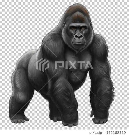Gorilla Gorilla 132182320