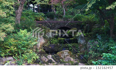 公園の橋 132182457