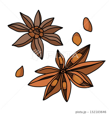 Set of star anise and aromatic seeds, brown outline illustration on white Set of star anise and aromatic seeds, brown outline illustration on white 132183646