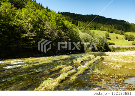 Beautiful Natural Background with Forest River in Summer 132183681