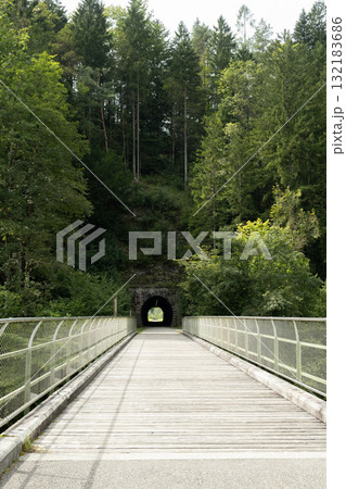 Scenic Forest Road with Tunnel Entrance in Nature Scenic Forest Road with Tunnel Entrance in Nature 132183686