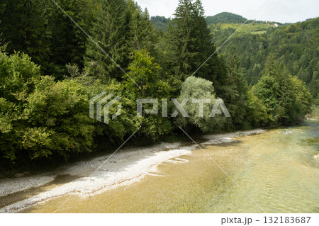 Beautiful Natural Background with Forest River in Summer 132183687
