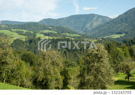 Beautiful Mountain Landscape with Green Woods 132183705