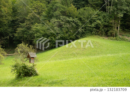 Small Wooden Chapel in the Forest, Secluded Woodland Church 132183709