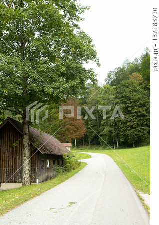 Lonely Cabin in the Forest, Secluded Woodland House 132183710