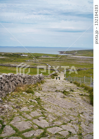 Scenic landscape of Ireland with a stone path leading through green fields towards the sea. 132184283